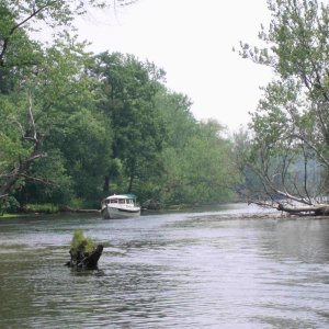 1t Knot Flying Selden Crk