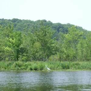 Beautiful Selden Creek