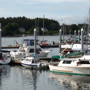 Looking small at the Sitka Harbor transient dock