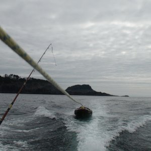 Looking back at Cape Ommaney