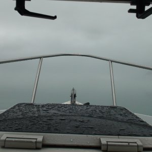 more fog & watching for ice. It was plentiful