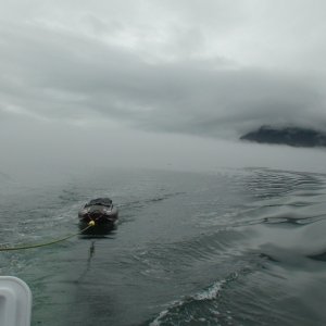 coming out of the fog