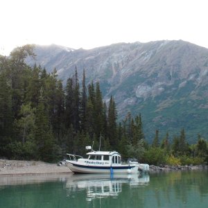 To shore Williston Inlet, Atlin Lake