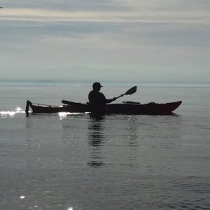 Another Calm Paddle
