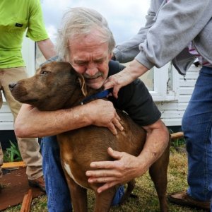 A Man Reunites With His Dog After The Alabama Tornado 3