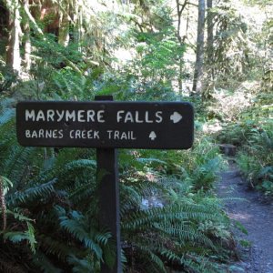 Marymere Falls trail is accessed at Storm King ranger station.  Easy ~1-1/2 mile round trip except for some steeper steps right at the falls.
