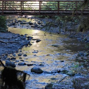 Barnes Creek