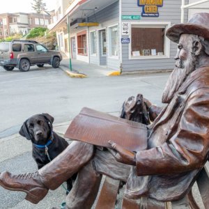 Media 'Tango explores Friday Harbor' in album 'May 15, 2021'