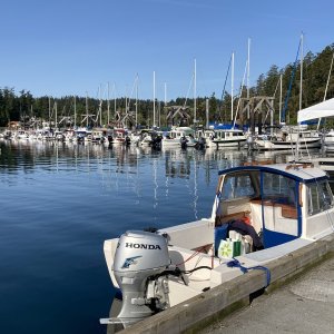 Media 'CDorys at Friday Harbor' in album 'May 15, 2021'
