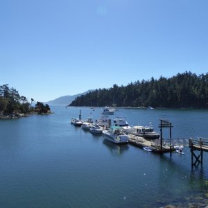 Fossil Bay