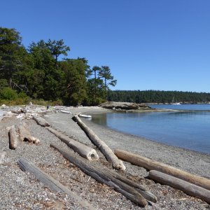 Echo Bay beach