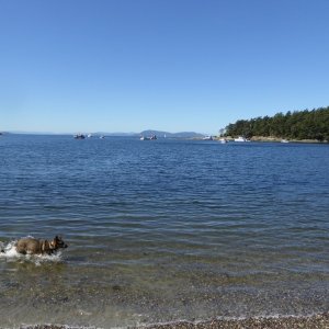 Shallow Bay