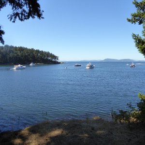Shallow Bay