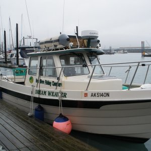 Media 'c-dory pro angler 26' in album 'Pacific Princess Cruise Lines'