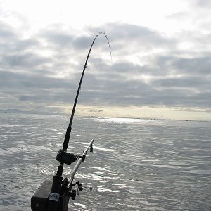'riggin at C.R. Buoy