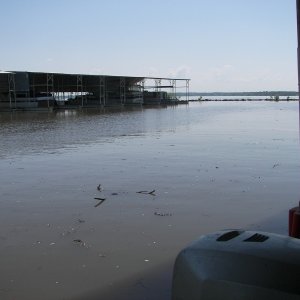 Tons of debris from heavy rains and floods.