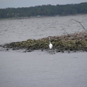 Peeking from a lee shore... It's actually about 3 miles to those docks across the water!