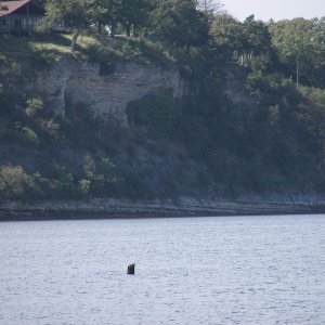 The water's actually 35 foot deep where that log is sticking up!