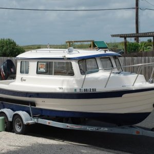 C Gull For Sale