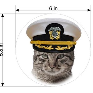 Captain Scooter