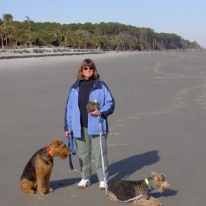 Media 'Marcia with Freyja and Valkyrie at the beach in SC at Hunting Island State Park.' in album 'Boomer before.'