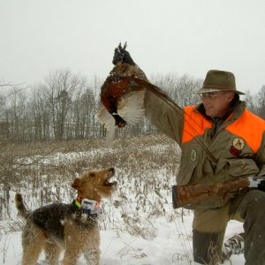Boomer's second hunt!  He's a natural!