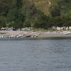 Race boats assembled on the beach.
