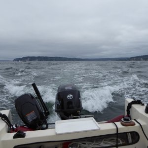 Media 'After slogging through this stuff for about 3 hours I finally returned to Edmonds to wait it out.' in album 'Leaving Edmonds 9AM on 7/16/16'