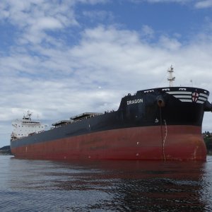Large ship waiting for its turn at the grain terminal in Elliott bay.