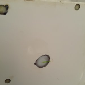 filled in the old center drain hole