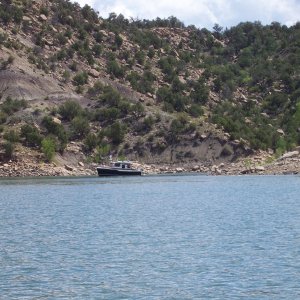 Ranger 29, Spirit of Gratitude at anchor