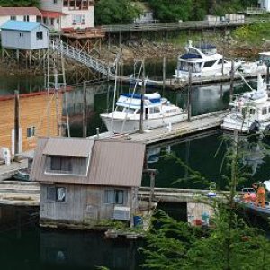 Elfin Cove inner harbor