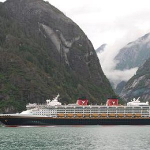disney cruise tracy arm