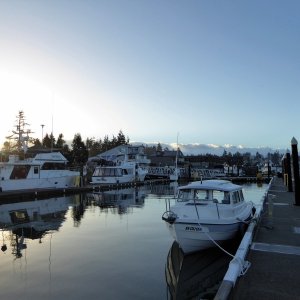Monday morning - flat calm after gale winds and rain last night!