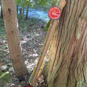Trailer lights mounted on cedar board for improved reliability.