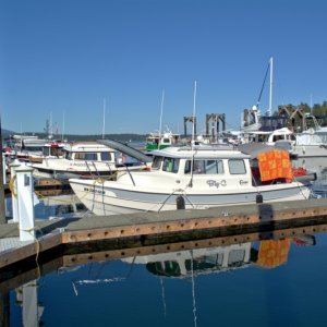 Media 'By Friday afternoon, more boats had arrived, and it was getting almost unbearably hot for so early in May!' in album 'Arriving at FH at 8AM Friday morning, May 10th, after a smooth crossing from Reid Harbor.'