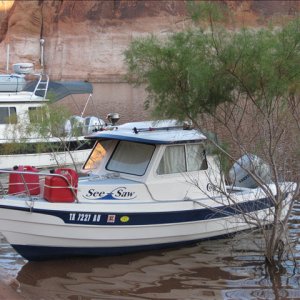 Sea Saw