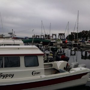 C-Gypsy.