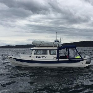 Going shrimping