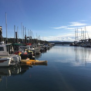 Media 'H dock Sunday morning' in album '2016 FH Cake'