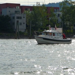 Media 'Rose Festival - C-Dory Coast Guard Auxiliary escort vessel' in album 'Cute little guy...'