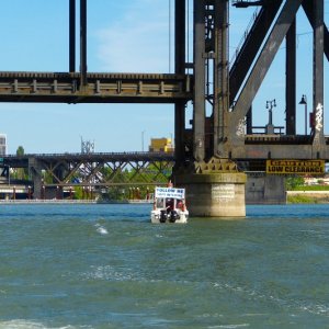 Media 'Rose Festival - C-Dory Coast Guard Auxiliary escort vessel' in album 'Cute little guy...'