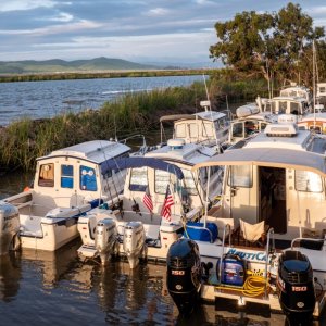 Media 'Tight mooring at the duck club' in album 'The new boat house, almost done'