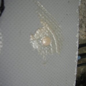 filler smoothed with surface of the deck, ready for screw, without intrusion into core.