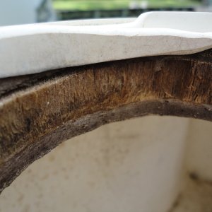 first view--wet and mold