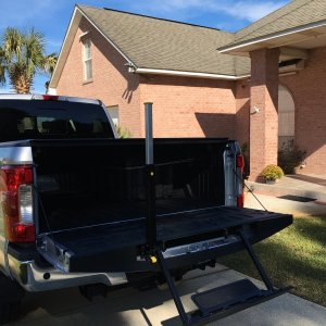 Tailgate step and brace