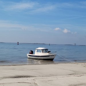 Beached on Cumberland Island