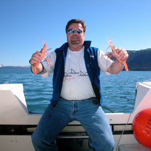Media '(AnchortownJim) Bill with two nice spotted prawns, Pigot Bay, PWS, 6/19/04' in album '(AnchortownJim)My buddy Bill on the bow in Pigot Bay, PWS, 6/19/04'