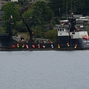 Party on Time Bandit