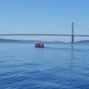 Tacoma Narrows Bridge + Native Canoe